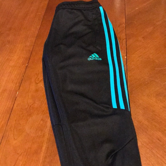 teal adidas pants